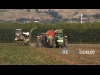 Tomato Harvest 1 1525
